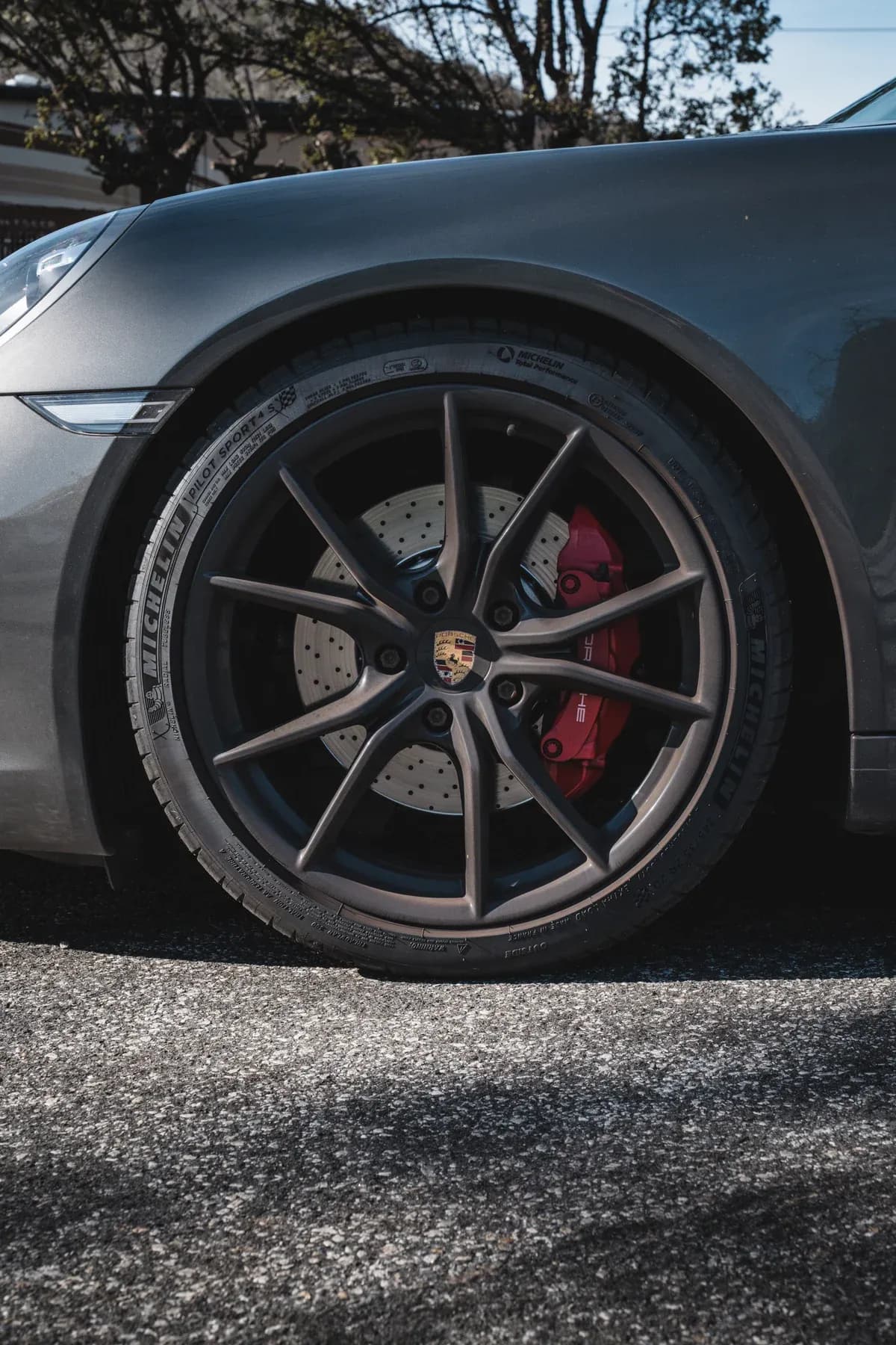 Porsche high-performance brake assembly